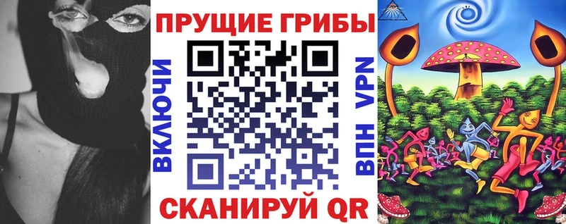 Купить где  Жуковский  Галлюциногенные грибы ЛСД 